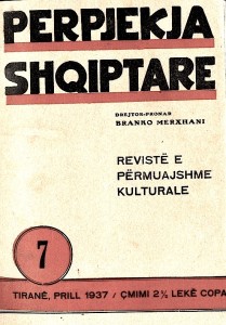 Revista e Neoshqiptarizmes - Perpjekja shqiptare