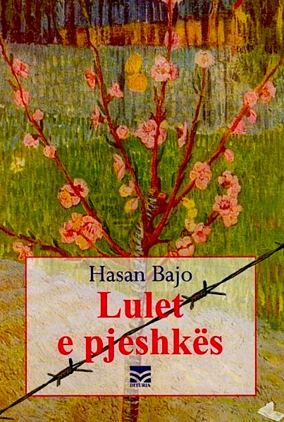 Lulet e pjeshkes - Hasan Bajo