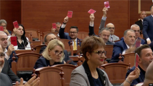 Parlamenti Shqiptar - Kundër Masakrës së Srebrenicës