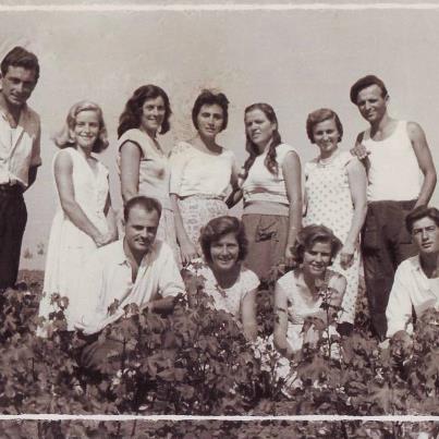 SNji grup te rinjsh nga Savra, 1963