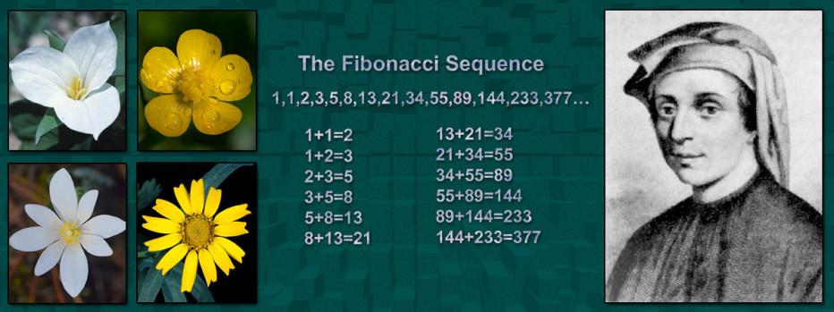 Fibonacci dhe Faktet e tij