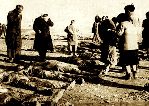 Genocidi mbi çamet gjatë Luftës së Dytë Botërore