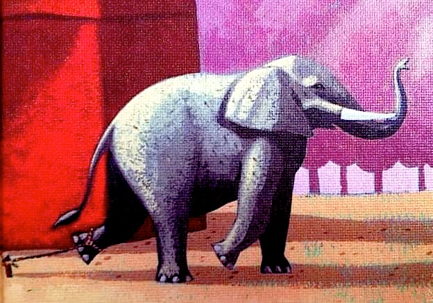 Elefanti i lidhur