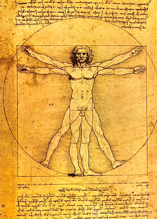 Leonardo da Vinci - Trupi i Njeriut