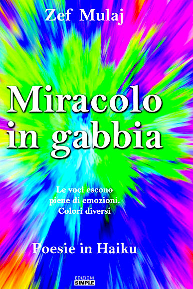 Zef Mulaj - Miracolo in Gabbia - Haiku