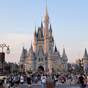 Walt Disney - World Castle