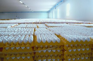 Industria e vezëve dhe magazinimi