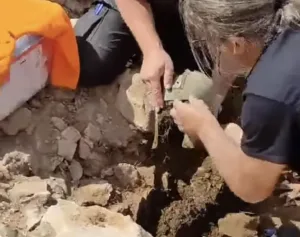 Helmeta ilire e gjetur në Dalmaci